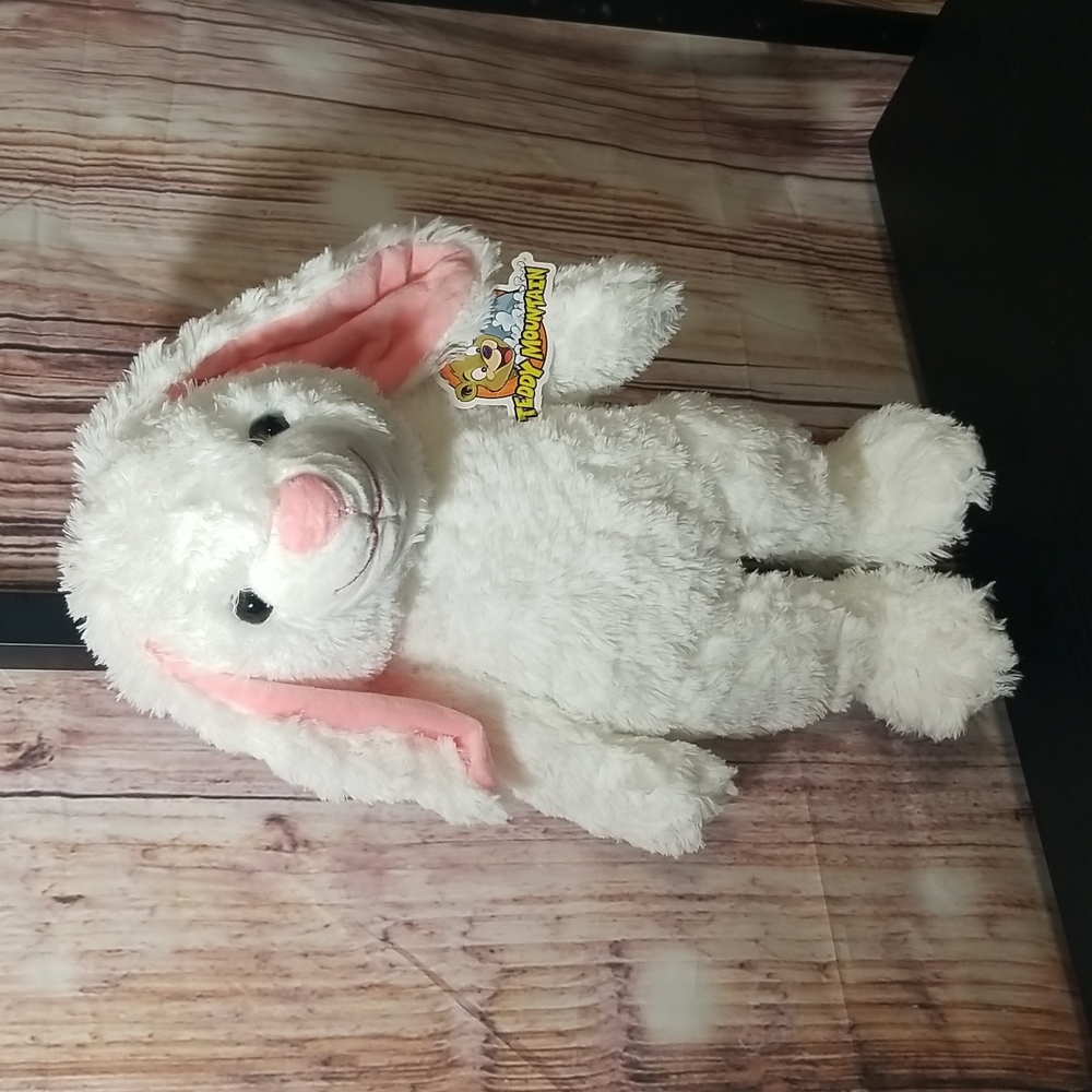 Teddy Mountain Rabbit